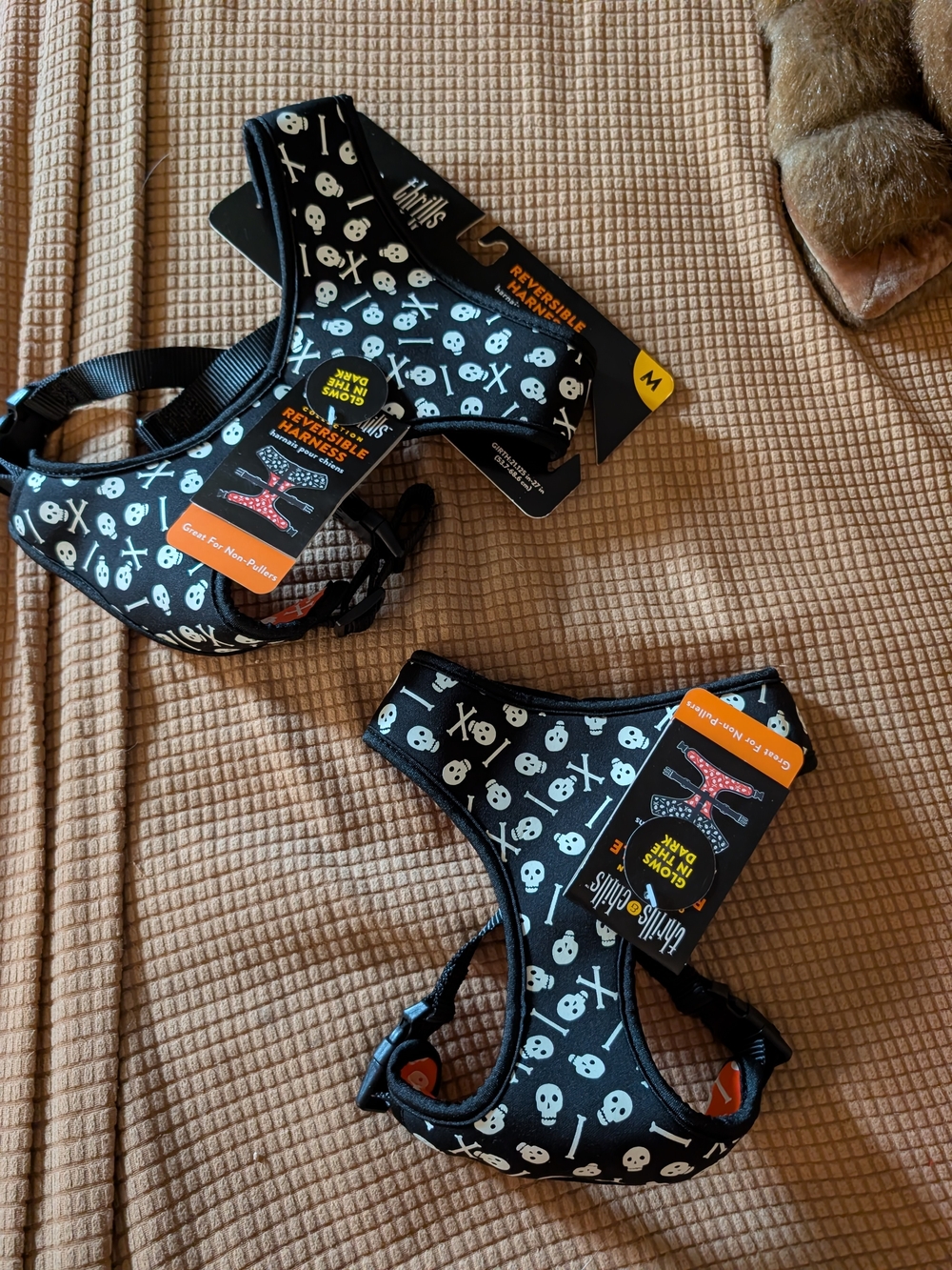 Thrills & Chills Glow In The Dark Skull Print Reversible Dog Harness